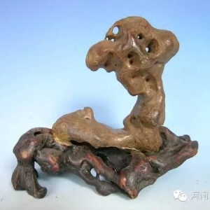 ݲʯղʯ200(chung)(xing)˹o(j)䛣